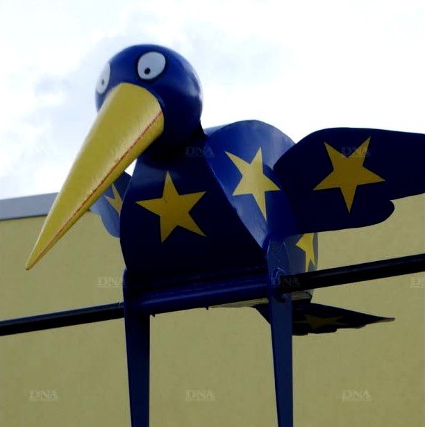oiseau-bleu-.jpg